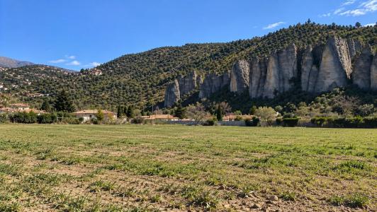 Annonce Vente Terrain Mees 04