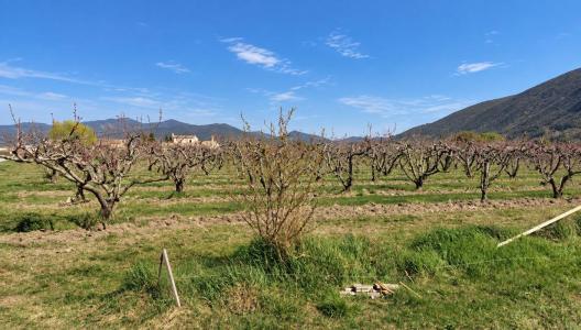Acheter Terrain Mees 62000 euros