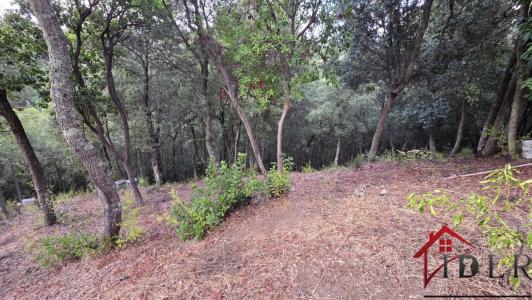 Annonce Vente Terrain Alata 20