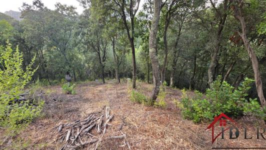 Acheter Terrain 1500 m2 Alata