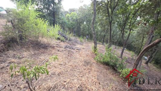 Acheter Terrain Alata 165000 euros