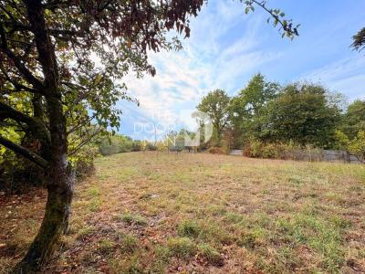 Annonce Vente 5 pi�ces Maison Saint-hilaire-de-chaleons 44