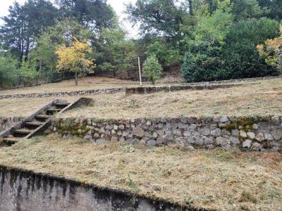 Acheter Maison Bort-les-orgues Correze