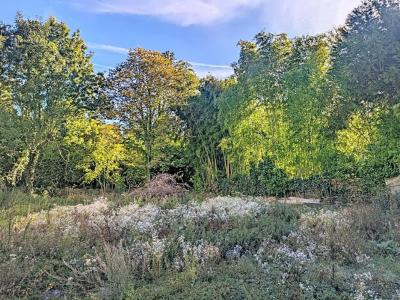 For sale Seraincourt 450 m2 Val d'Oise (95450) photo 0