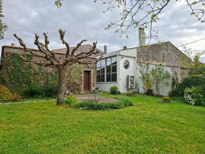 Annonce Vente 6 pi�ces Maison Saint-estephe 33