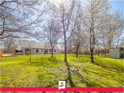 Annonce Vente 6 pi�ces Maison Romorantin-lanthenay 41