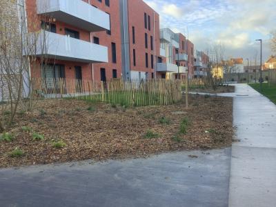 For rent Faches-thumesnil 2 rooms 48 m2 Nord (59155) photo 0