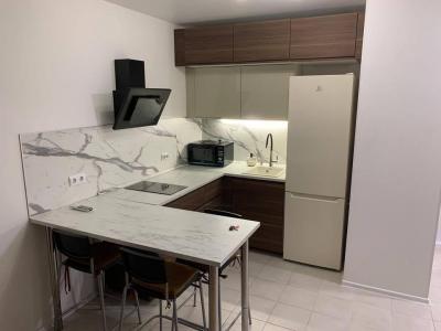 For rent Lyon-7eme-arrondissement 2 rooms 34 m2 Rhone (69007) photo 0
