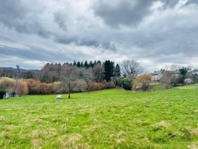 Annonce Vente Terrain Treignac 19