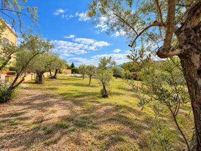 Annonce Vente Terrain Manosque 04