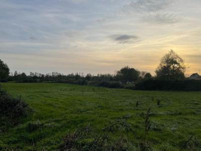 For sale Bailleul 130 m2 Nord (59270) photo 2