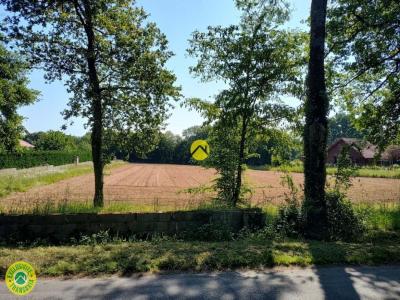 Acheter Terrain Dun-le-palestel 35000 euros