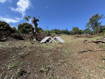 Acheter Terrain 376 m2 Tampon