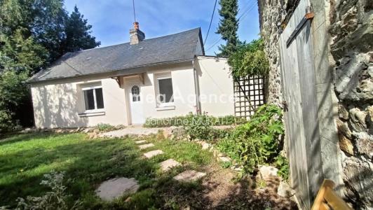 Annonce Vente 3 pi�ces Maison Saint-aubin-du-desert 53