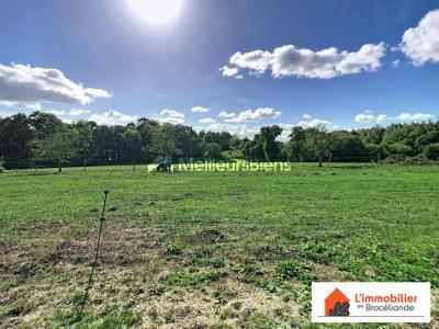 Acheter Maison 107 m2 Plelan-le-grand