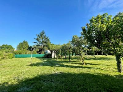 Annonce Vente Terrain Beaugency 45