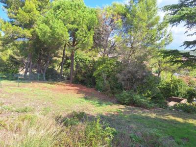Acheter Terrain 420 m2 Ensues-la-redonne