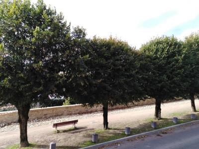Annonce Location 3 pi�ces Appartement Charleville-mezieres 08