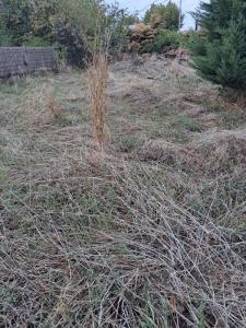 Acheter Maison 65 m2 Albi