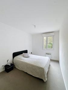 Louer Appartement Lille 815 euros
