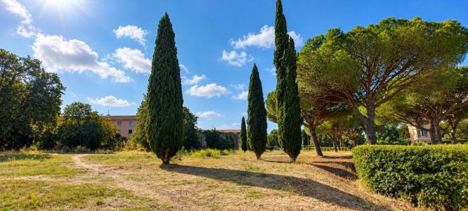 For sale Frejus 3 rooms Var (83600) photo 1