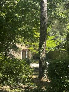 Acheter Maison 115 m2 Saint-maximin-la-sainte-baume