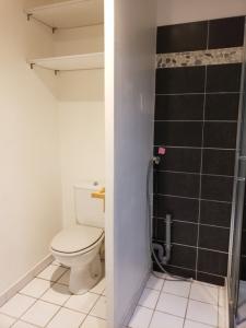 Louer Appartement Lyon-3eme-arrondissement 544 euros