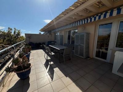 For rent Cannes 2 rooms 35 m2 Alpes Maritimes (06400) photo 0