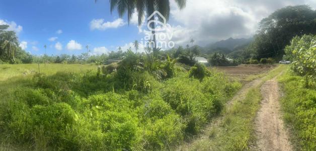 Annonce Vente Terrain Lepuix 90