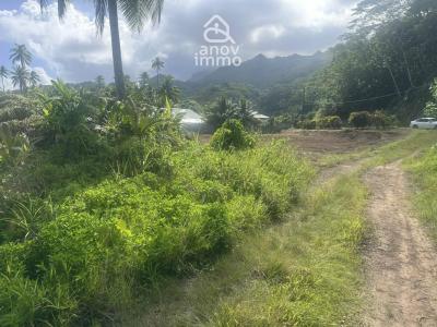 Acheter Terrain Lepuix 295000 euros