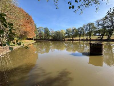 Acheter Terrain Genouillac Creuse
