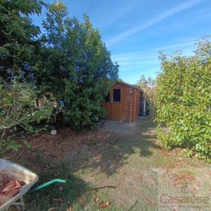 Acheter Maison 229 m2 Saran