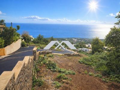 For sale On-saint-leu 274 m2 Reunion (97436) photo 0