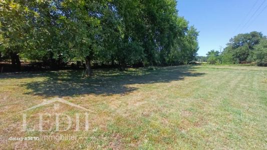 For sale Mazeres 2 rooms 1164 m2 Gironde (33210) photo 0