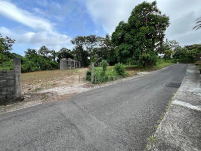 For sale Capesterre-belle-eau 935 m2 Guadeloupe (97130) photo 1