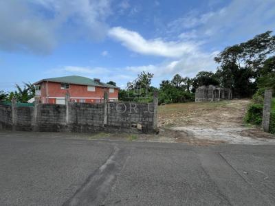 For sale Capesterre-belle-eau 935 m2 Guadeloupe (97130) photo 2