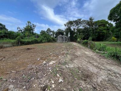 For sale Capesterre-belle-eau 935 m2 Guadeloupe (97130) photo 4