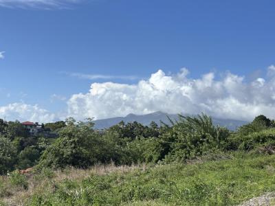 For sale Carbet 750 m2 Martinique (97221) photo 3