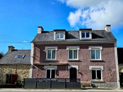 Annonce Vente 11 pi�ces Maison Lanvenegen 56
