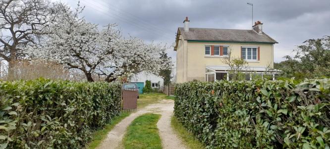 Annonce Vente 5 pi�ces Maison Saint-pere-sur-loire 45