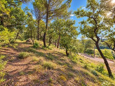 Acheter Terrain Rians Var