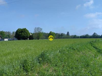 Acheter Terrain Chateauroux 39000 euros