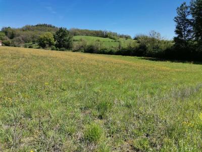 Acheter Terrain 2000 m2 Dausse