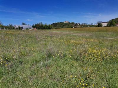 Acheter Terrain Dausse 23760 euros