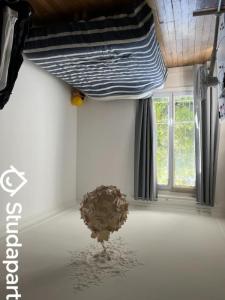 Louer Appartement Paris-14eme-arrondissement 2899 euros