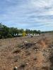 Vente Terrain Rians  32767 m2