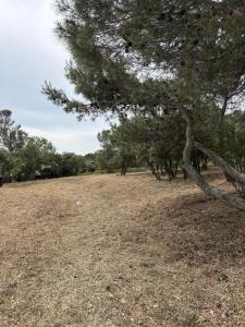 Annonce Vente Terrain Villeneuve-les-avignon 30