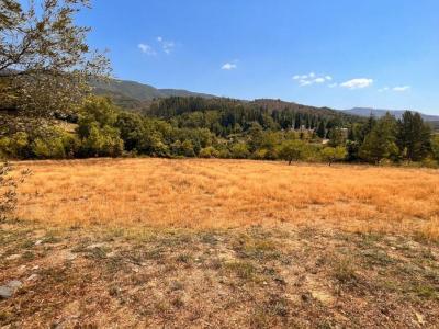 Acheter Terrain 53 m2 