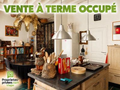 Life-annuity Chatillon-sur-loire 10 rooms 300 m2 Loiret (45360) photo 0