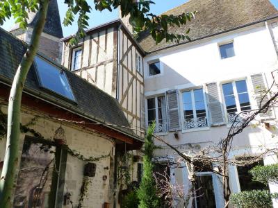 Life-annuity Chatillon-sur-loire 10 rooms 300 m2 Loiret (45360) photo 1